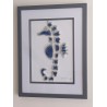 Seahorse Picture